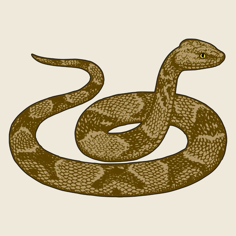 Angry Snake