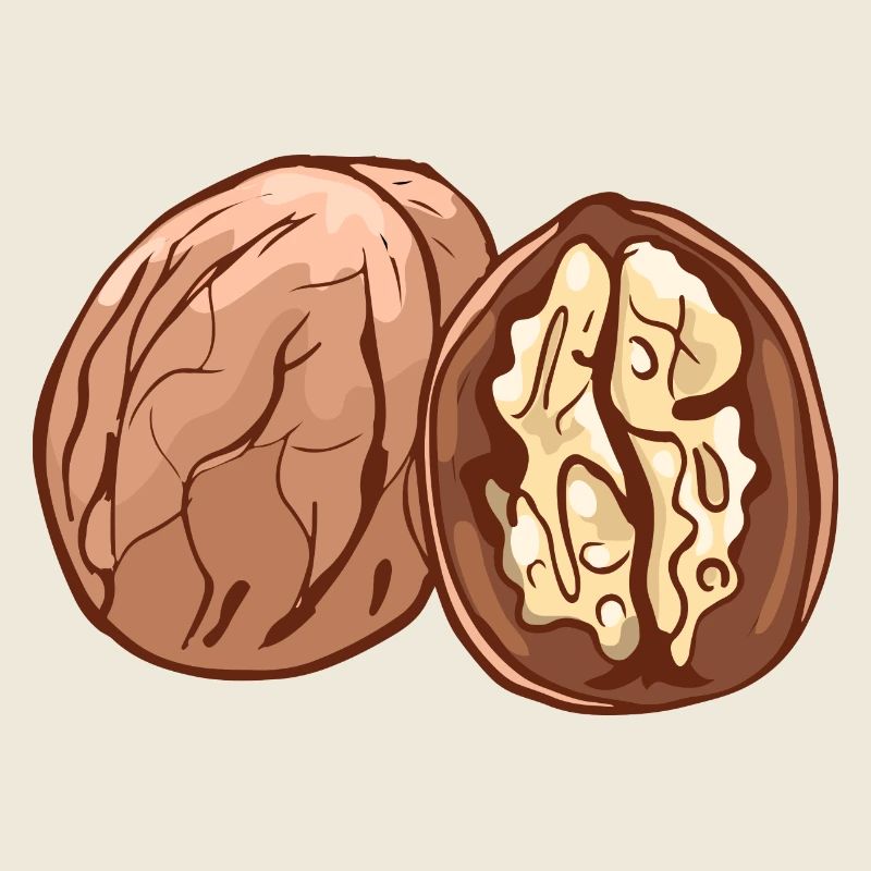 Real walnut nuts nut walnutwalnuts