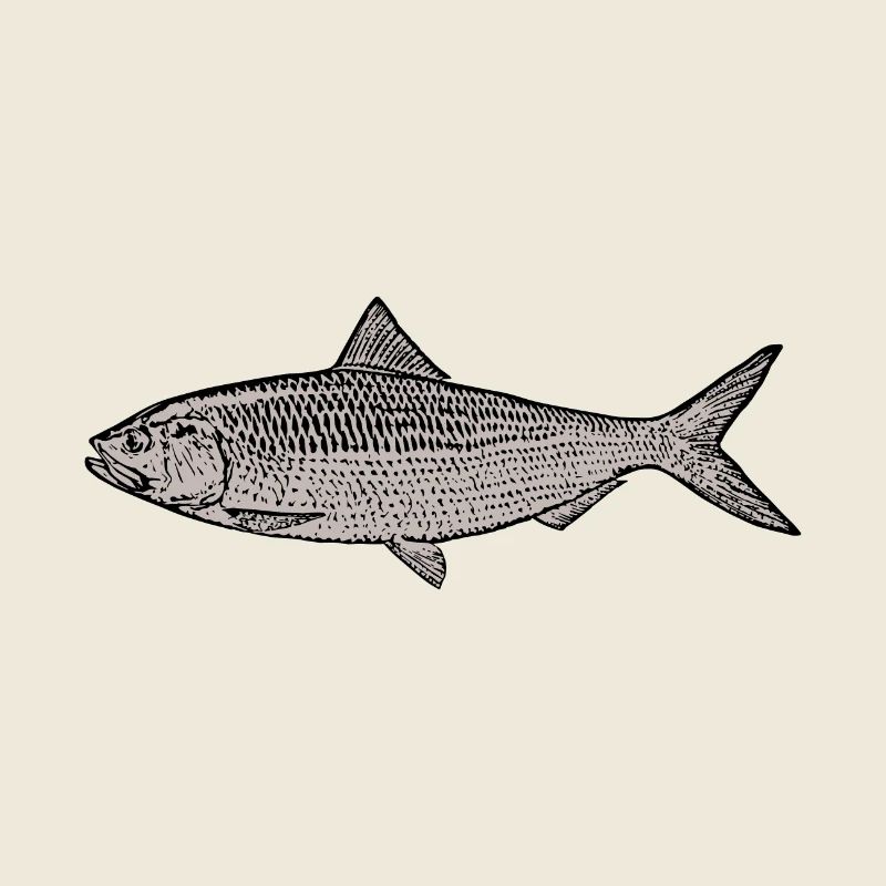 poisson