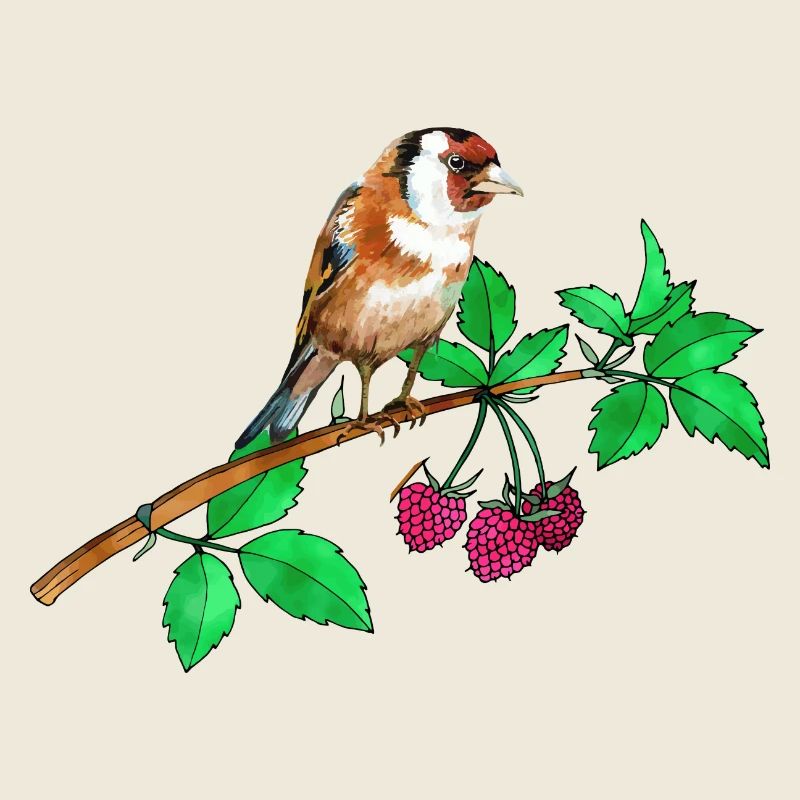 Goldfinch and raspberry