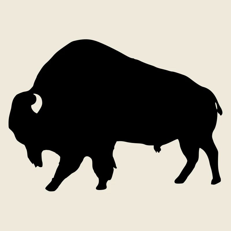 Bison