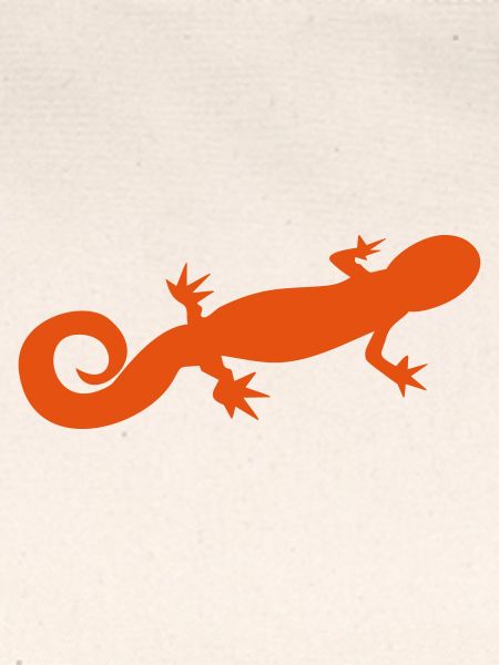 salamander