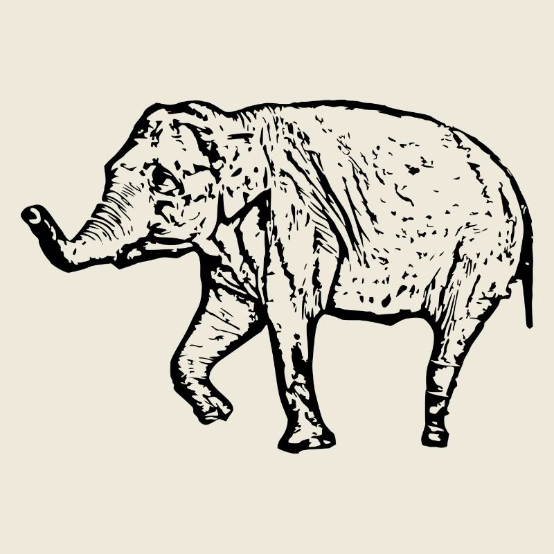 Elephant black