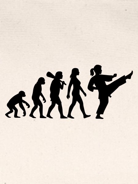 Karate Evolution