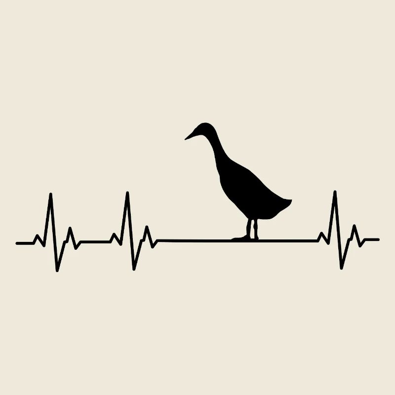 Runner Duck - Runner Duck Breeder - Indian Runner Duck