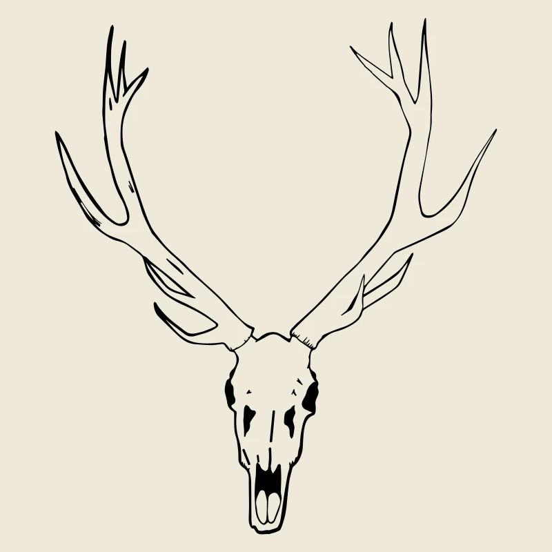 Deer skull