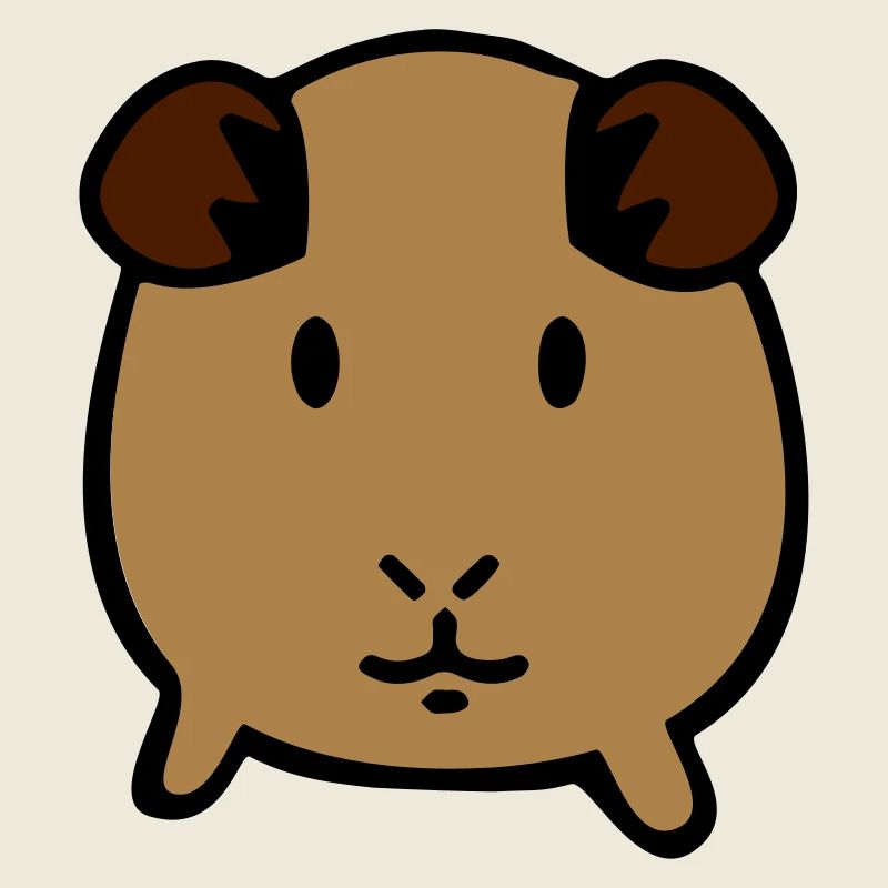 guinea pig