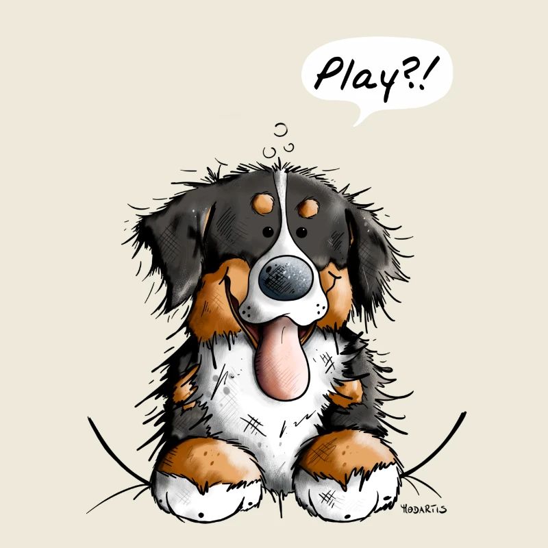 Berner Sennenhund Play - Bernese Mountain Dog