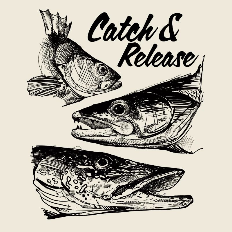 Catch & Release