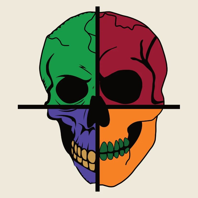 Vier geteilter Skelettschädel