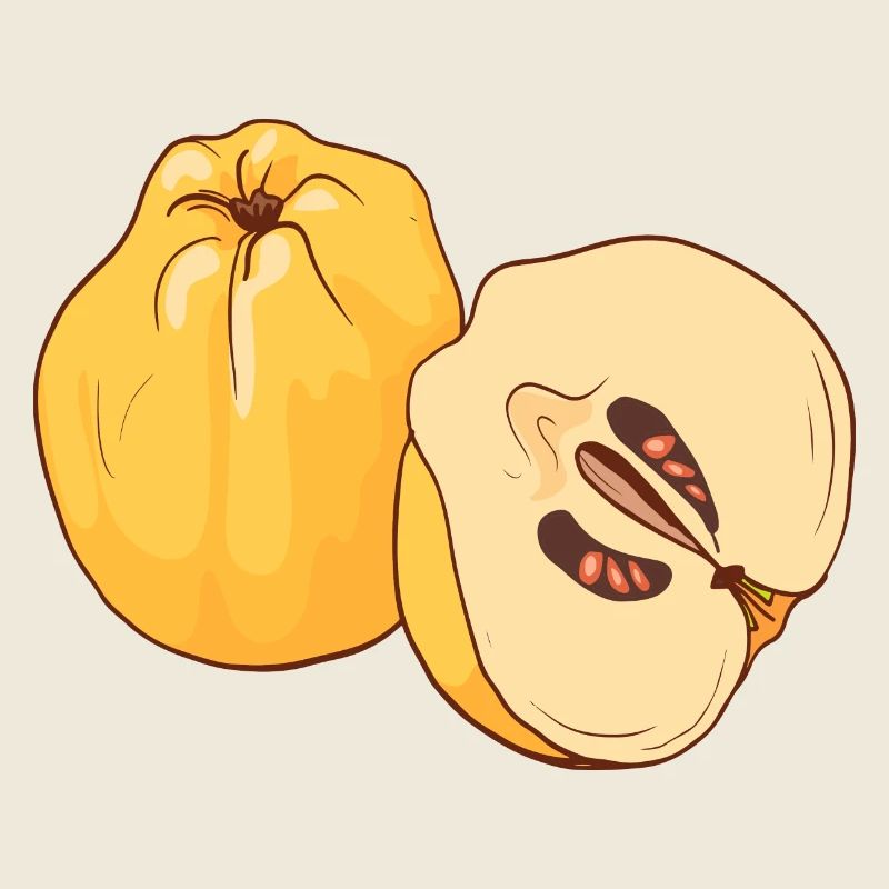 Quitte Quitten Apfel Birne Äpfel Birnen Kernobst