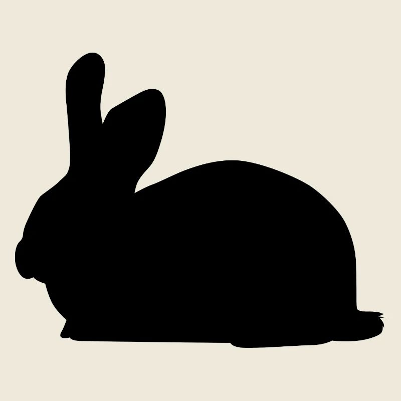 Rabbit Rabbit Bunny Rabbit Rongeurs rongeurs