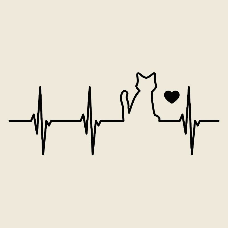 cat heartbeat