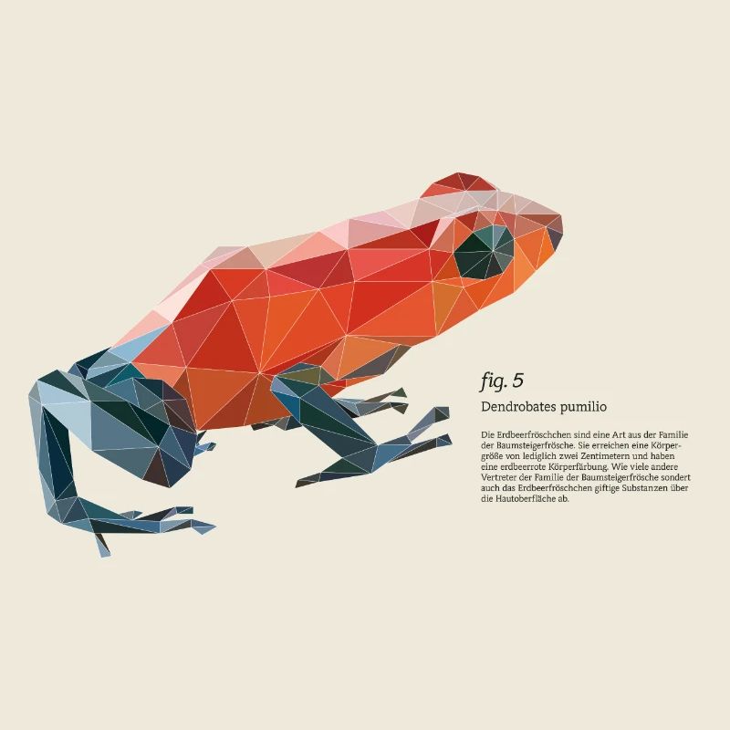 fig5_polygonpfeilgiftfrosch