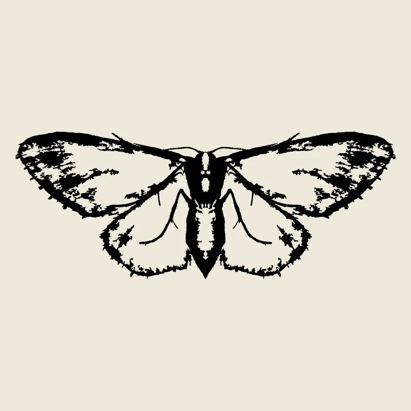 Papillon / Papillon / Papillon