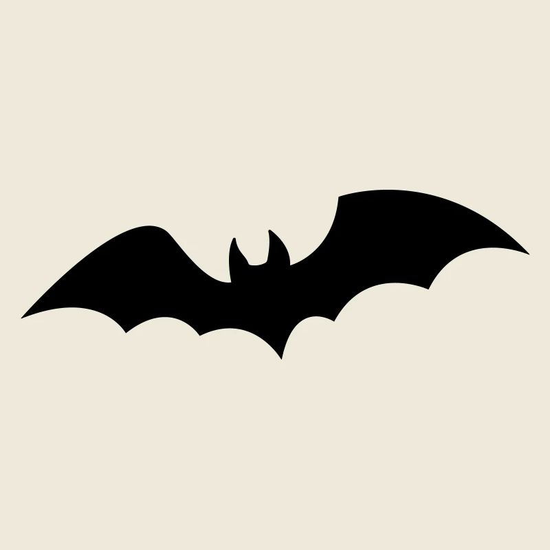 chauve-souris