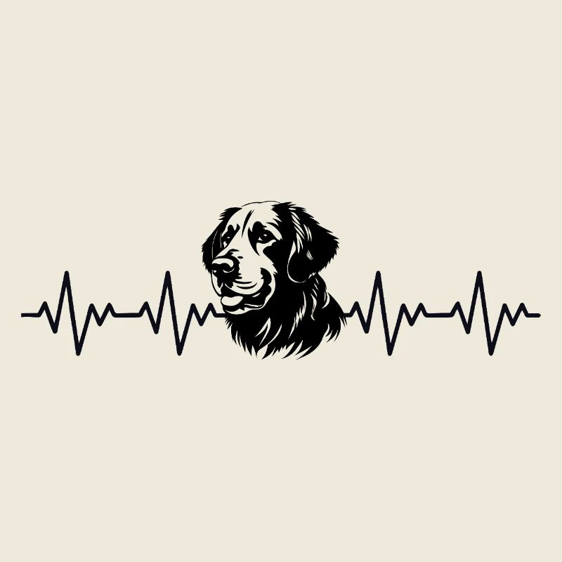 Battement cardiaque ECG Golden Retriever
