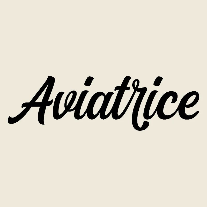 Aviator Pilot Airplane Aviation Aircraft Flight