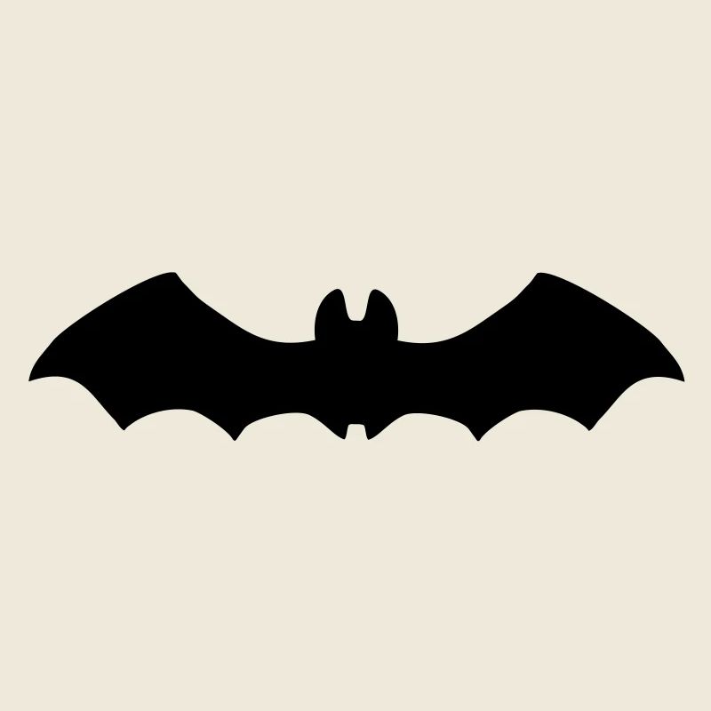 Bat in flight