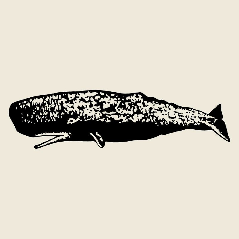 Sperm whale