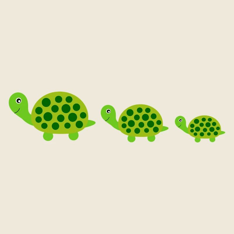 Tortue Tortues