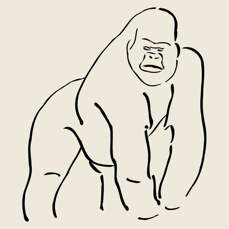 Collection singes