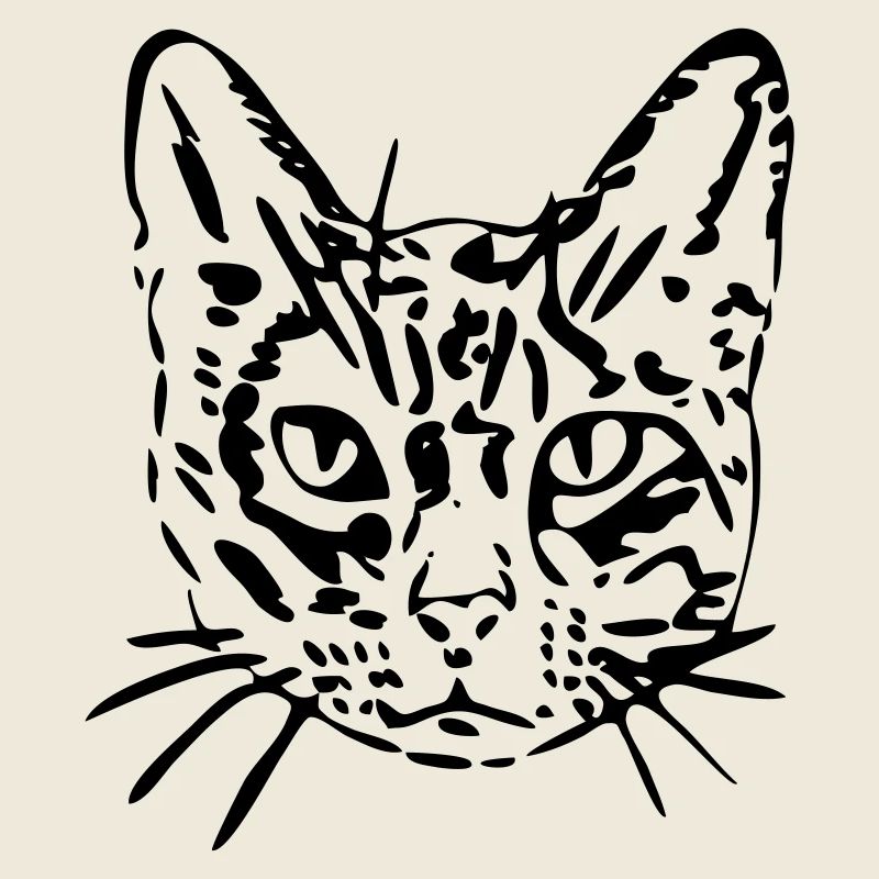 Katze, Mieze, Miezekatze, Geschenk, Geschenkidee