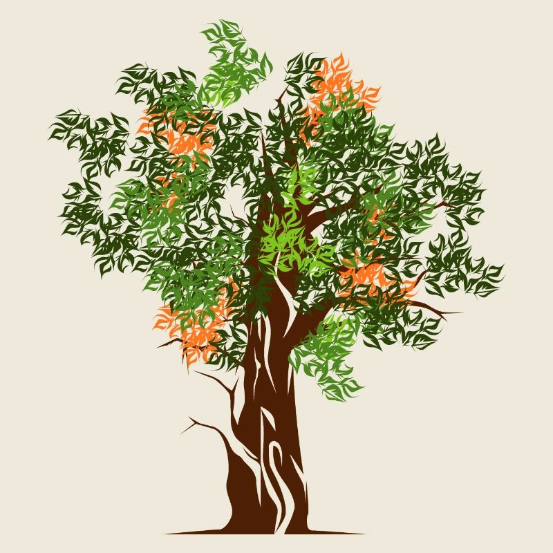 nature trees trees tree forest colors autumn spring