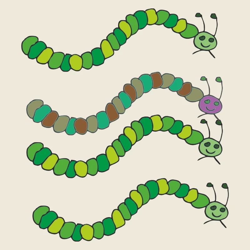 variété de chenille