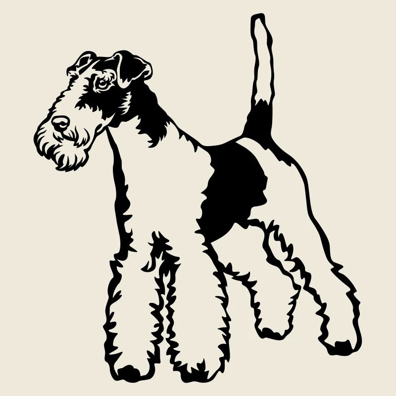 Fox-terrier