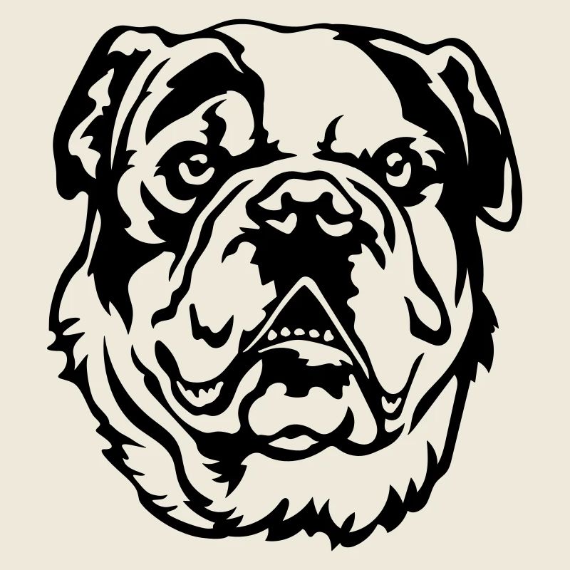Tête de bouledogue continental