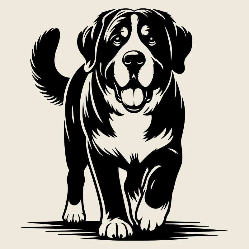 Großer Schweizer Sennenhund