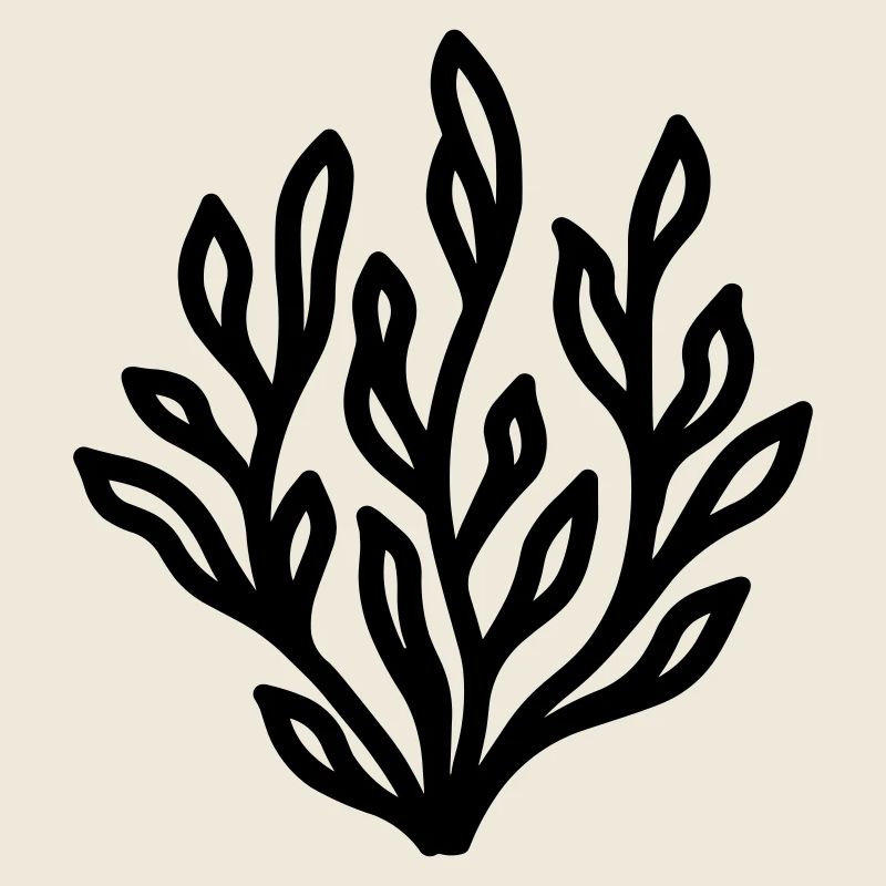 alga
