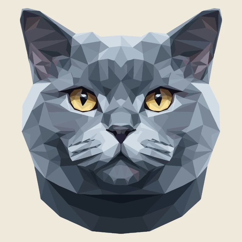 British Shorthair Chat BKH Chat Maman Chats Mignons
