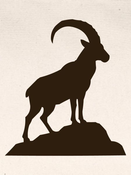 steinbock
