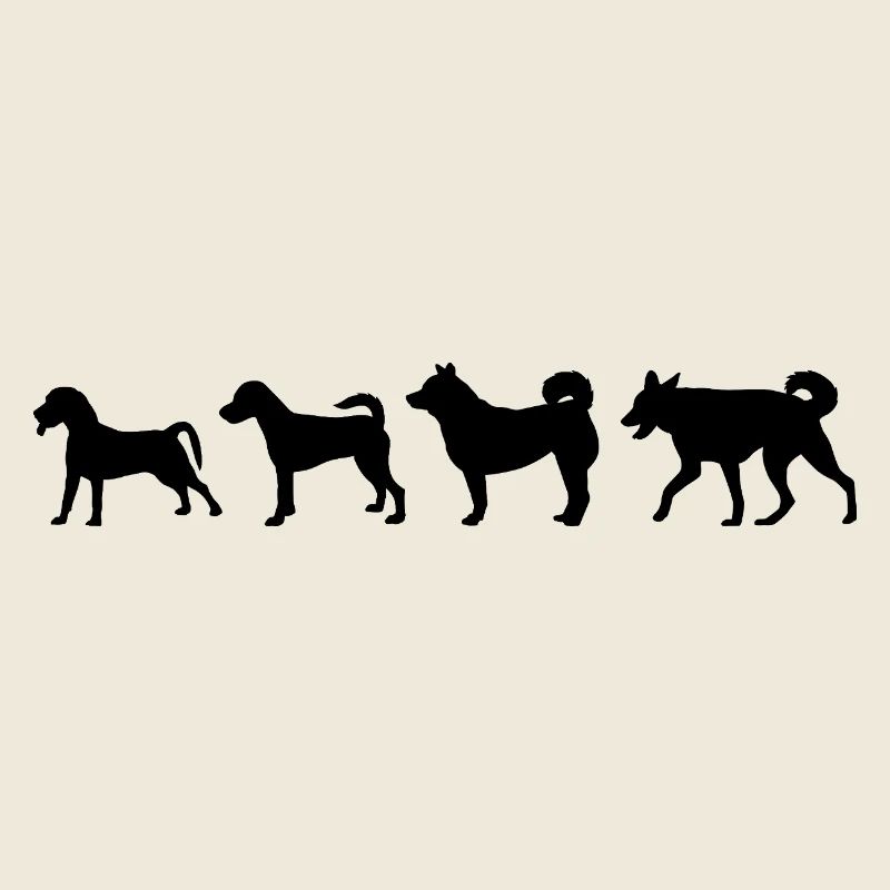Entwicklung des Hundes