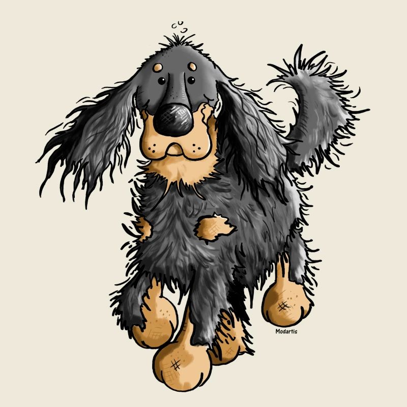 Flinker Gordon Setter - Hund