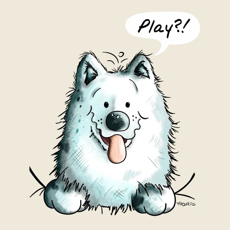 Samoyed Play - Samoyeds - Sabaka - Sobaka
