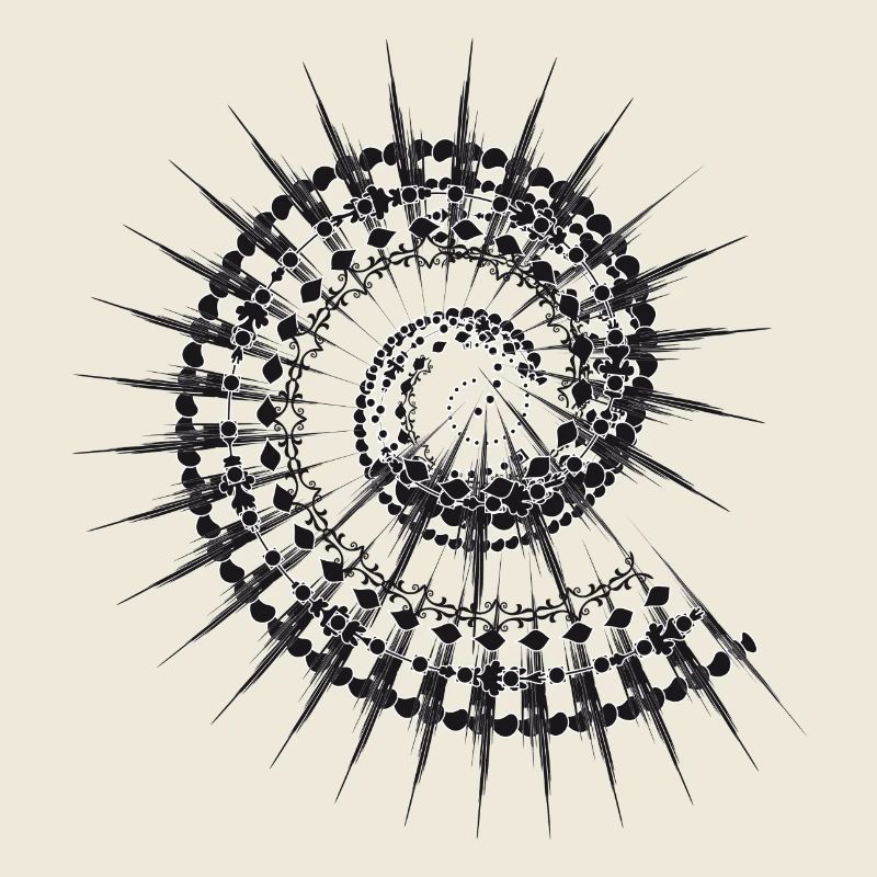 Shell shape snail in black and white