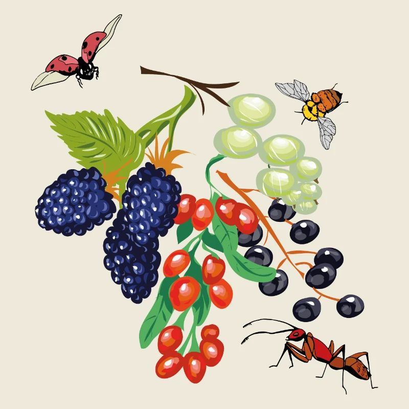 Fruit with insects