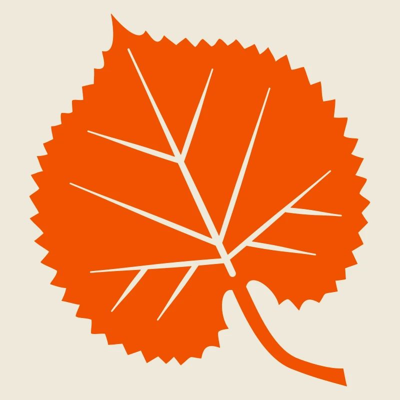 Linden leaf