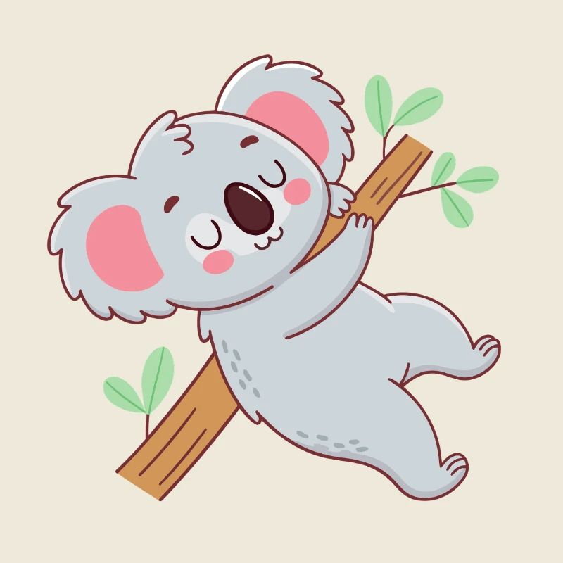 Cuddly koala on branch