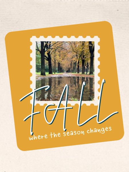 FALL Herbstpfade
