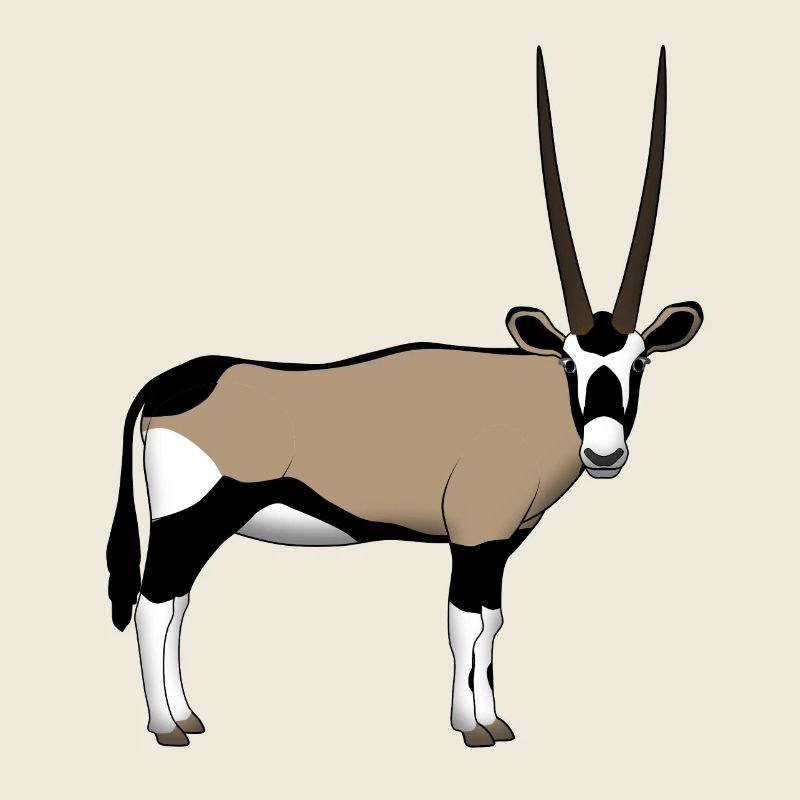 Oryx head front