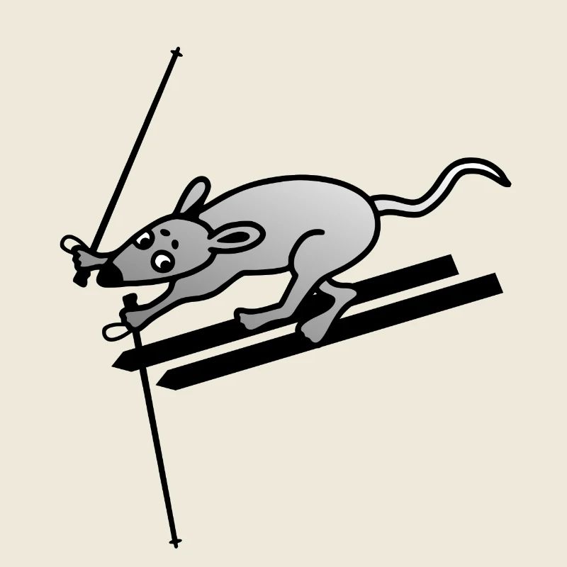 Skifahren Ski Skimaus Maus