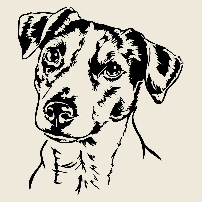 JACK RUSSELL TERRIER Portrait Wilsigns
