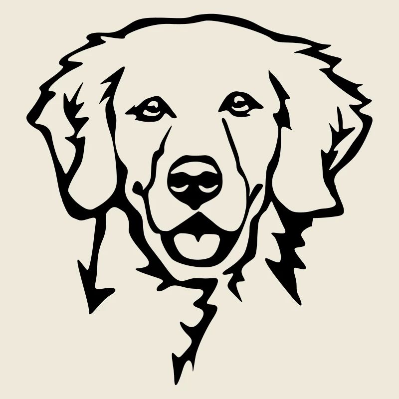 Tête de Golden retriever
