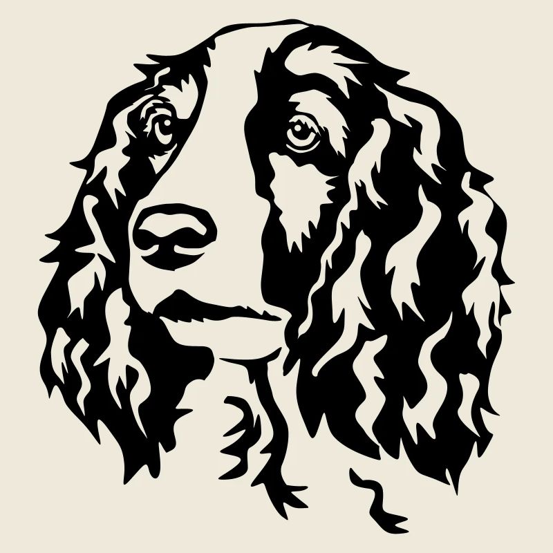 Welsh Springer Spaniel Kopf