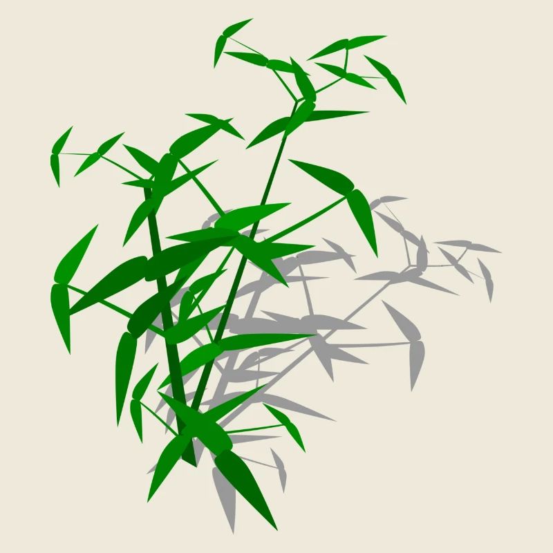 Bamboo with shadow