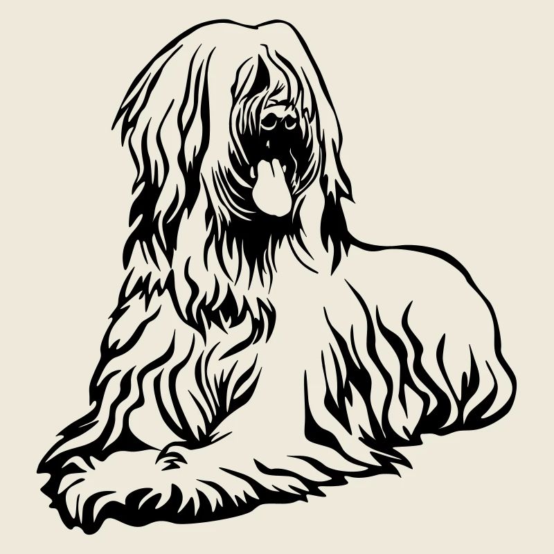 Briard